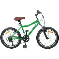 vidaXL Kinderfiets, 20 inch, 6 versnellingen, geschikt voor kinderen van 6-11 jaar, groen