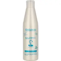 Salerm 21 Silk Protein Leave-in 250ml Conditioner
