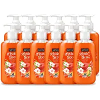 Sence 12 x – Handzeep – Splash To Bloom Peach – 500 ml - Voordeelverpakking - 12 stuks