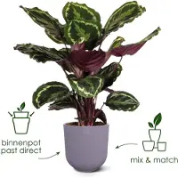 Elho Jazz Rond 19 Bloempot voor Binnen - Woonaccessoire van 100% Gerecycled Plastic - Ø 18.9 x H 17.6 cm - May green