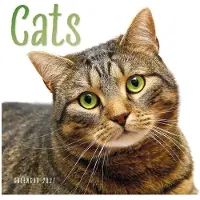 CAROUSEL CALENDARS Katten Kalender 2027