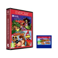 Double Pack Banjo Kazooie Evercade