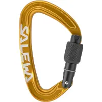Salewa Ortles Screw Karabijnhaak