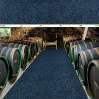 ANRO Loper Blauw 280x100cm – Schoonloopmat Gangloper Antislip Wasbaar Vuilvangmat Op Maat Binnen