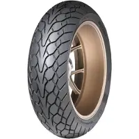 Dunlop Mutant zomerband 110/70 ZR17 54W, motorband, toeristisch sportmodel, M+S band