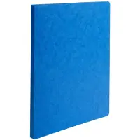 Exacompta 4x Pak van 25 dossiermappen Glanskarton 225gm2 - Geassorteerd - 220000E