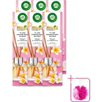 Air Wick 6 x - Geurstokjes - Delicate Frangipani Bloemen - Essentiële Oliën - 40 ml - Bulkverpakking - Geurstokjes - Douchemop - Frangipani