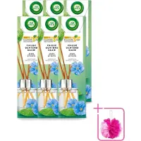 Air Wick 6 x - Geurstokjes - Frisse Ochtenddauw - Essentiële Oliën - 40 ml - Bulkverpakking - Geurstokjes - Douchemop - Frisse ochtenddauw