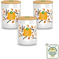 Air Wick 3 x - Geurkaars - Vanille & Zoete Amandel - 35 Uur Brandduur - Wasstrips - Geurkaars - Vanille - Amandel - Warme Geur - Sfeer
