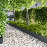 vidaXL Gazonrand 20 st 100 x 18 cm Staal Antraciet
