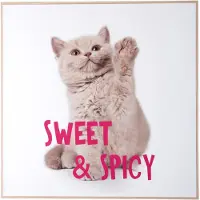 PT Living Wanddecoratie Kitten Sweet & Spicy Bright Pink