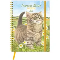 Comello Franciens Katten Bureau Agenda 2027 Mischa