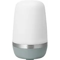 Blomus Spirit LED-lamp M 15 cm Pine gray