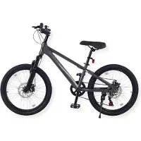 Buxibo - Fiets Austin - Kinder Mountainbike - 7 Versnellingen - 20 Inch - Grijs