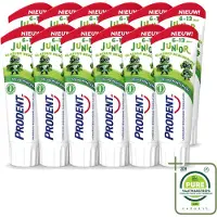 Prodent 12 x – Tandpasta Glazuurbeschermer – Kids 6+ – 75 ml - Grootverpakking - Vaatwasstrips - Glazuurbeschermende Tandpasta - Kindertandpasta - Gaatjespreventie - Fluoride - Wisselgebit