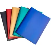 Exacompta 20x Showmappen in halfharde gerecyclede PP met 20 tassen Opak - Geassorteerd - 78520E