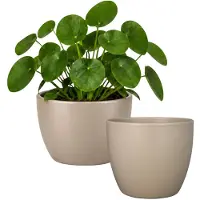 Floran Bloempot Boule - 2x - taupe - keramiek - D17 x H15 cm cm - plantenpotten binnen