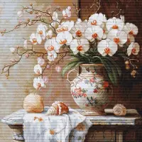 Luca S Aida Borduurpakket - The Elegance of the Orchid - De elegancie van de Orchidee - B714