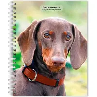 BrownTrout Teckel Agenda 2027