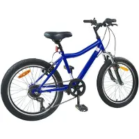 vidaXL Kinderfiets, 24 inch, 6 versnellingen, geschikt voor kinderen van 8-12 jaar