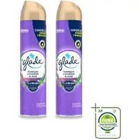 Glade 2 x - Luchtverfrisser Spray - Tranquil Lavender & Aloë - 300 ml - Grootverpakking - Vaatwasstrips - Luchtverfrisser - Frisheid - Lavendel - Aloë - Geur
