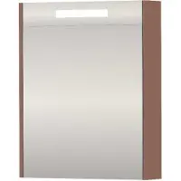 Proline SPK Premium Spiegelkast LED 60x14x74 cm Beauty Blush