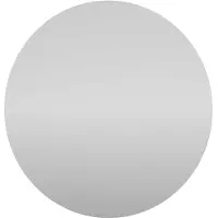 Proline Melone Spiegel Rond 80x1x80 cm Spiegel