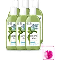 Dove 6 x Powered by Plants - Oil Body Wash - Eucalyptus - 250 ml - Bulkverpakking - Natuurlijke verzorging - Douchemop - Eucalyptus