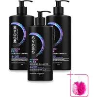 Syoss 3 x – Shampoo – Intense Plex – 440 ml - Bulkverpakking - Haarherstel - Douchemop - Haarversterking
