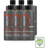Syoss 6 x - Men Power - Shampoo - Langdurige Styling - 440ml - Grootverpakking - Vaatwasstrips - Mannelijk Haarverzorging - Krachtig Haar - Haar Stimulatie - Cafeïne Shampoo - Gezonde Haargroei