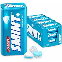 Smint XL Mild Mint - Frismakers - Suikervrij - 1x12stuks