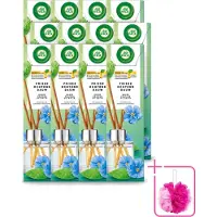 Air Wick 12 x - Geurstokjes - Frisse Ochtenddauw - Essentiële Oliën - 40 ml - Bulkverpakking - Geurstokjes - Douchemop - Frisse ochtenddauw