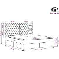 vidaXL Opbergbed met hoofdeinde Lichtgrijs 200 x 200 cm Fluweel