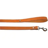 Zolux Dubbele natuurlijke leren riem breedte 25mm 1 m NATUURLIJK
