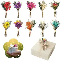 Famanu - Kleine droogbloemenboeketten - Perfect voor creatieve decoratie - Natuurlijke uitstraling - 10 stuks