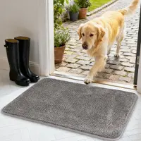 Famanu - Deurmat voor Binnen - Houdt vuil en vocht buiten - Superabsorberend en antislip - Grijs 1 stuk