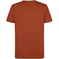 Petrol Industries Shirt 'Windward' kreeft