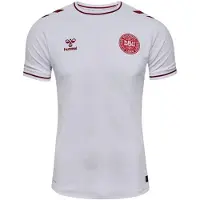 Hummel Heren 2025 Denemarken uittenue (Wit)