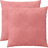vidaXL Kussen met kussen HEERLEN 2 st Roze fluweel