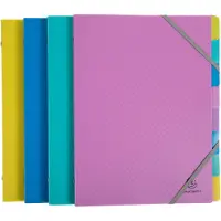 Exacompta Forever Young Sorteermap A4 PP (Polypropeen) Kleurenassortiment 24,5 (B) x 1 (D) x 32 (H) cm 8 Stuks