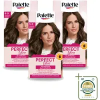 Palette 3 x - Haarverf - Perfect Gloss 5 Medium Brown - Wasstrips - Haarverf - Ammoniakvrije Haarkleuring - Glanzende Haarkleur - Grijsdekking - Haarbreuk