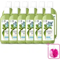 Dove 12 x Powered by Plants - Oil Body Wash - Eucalyptus - 250 ml - Bulkverpakking - Natuurlijke verzorging - Douchemop - Eucalyptus