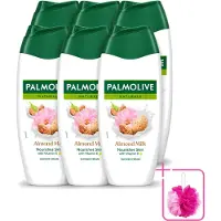 Palmolive 6 x – Douchegel – Almond Milk – 250 ml - Bulkverpakking - Douchegel amandel - Douchemop - Zachte reiniging