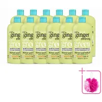 Treaclemoon 12 x – Douchegel – One Ginger Morning – 500 ml - Bulkverpakking - Gemberdouchegel - Douchemop - Energieboost