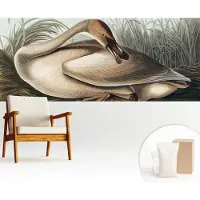 Wallfluent Fotobehang - Bruin Vliesbehang - 250x104 cm - Natuurlijke Vogel Fotobehang Vlies - Woonkamer behang Dieren - Muurschildering - Hal behang
