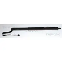 TRISCAN 8710 29342 Gasveer achterklep
