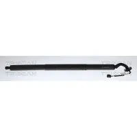 TRISCAN 8710 27316 Gasveer achterklep
