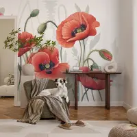 Coloray Vliesbehang - Rood Snellijm Behang - 250x250 cm - Rode Klaprozen Fotobehang Vlies - Hal behang Bloemen En Planten - Muurschildering - Woonkamer behang