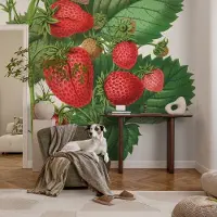 Coloray Vliesbehang - Groente Snellijm Behang - 250x104 cm - Zomerfruit Muurschildering - Gang behang Bloemen En Planten - Fotobehang Vlies - Slaapkamer behang