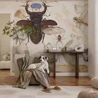 Coloray Vliesbehang - Wit Snellijm Behang - 104x70 cm - Natuurlijke Harmonie Muurschildering - Slaapkamer behang Ander - Fotobehang Vlies - Gang behang